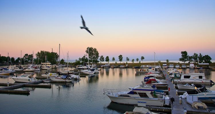 Bluffer's Park Marina
