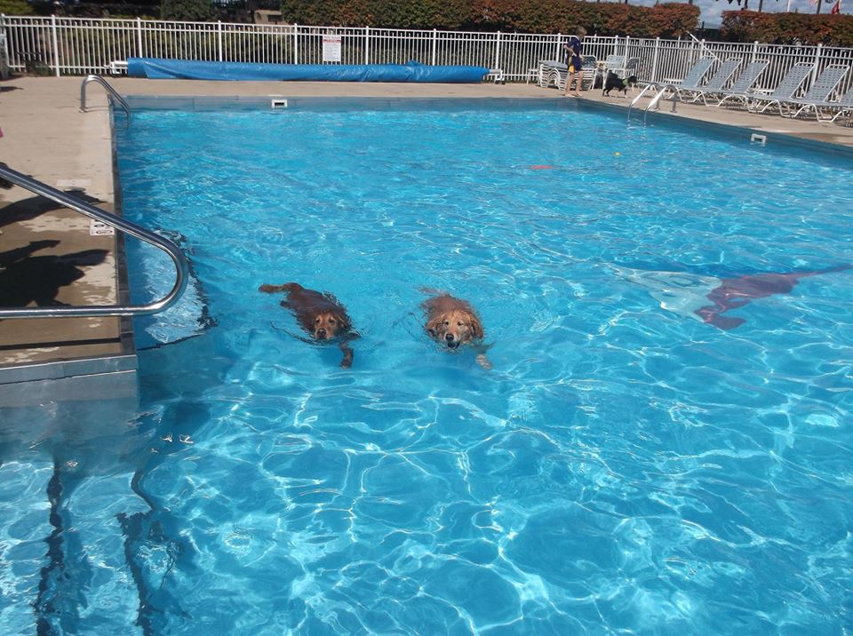 edgewater yacht club pool